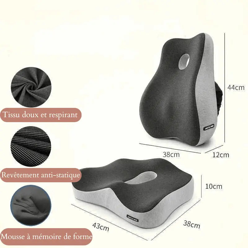 Coussin D'assise Mal De Dos - Coussea