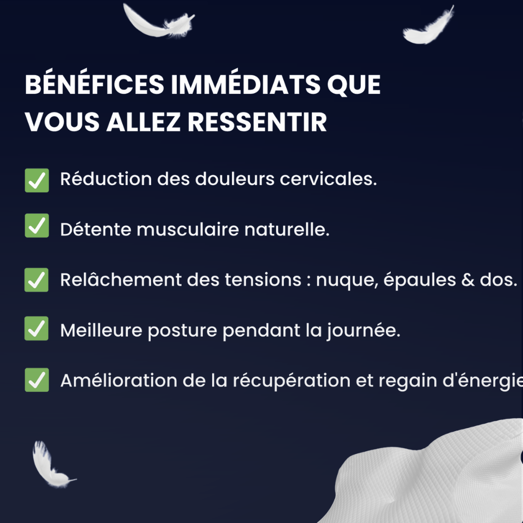 L'Oreiller Sommeil Pure Template SRN