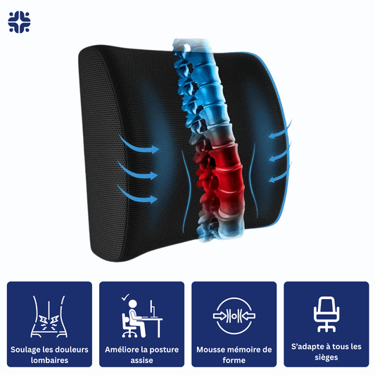 Coussin Orthopédique Dossier - Coussea