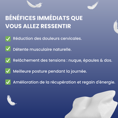 L'Oreiller Sommeil Pure Template SRN