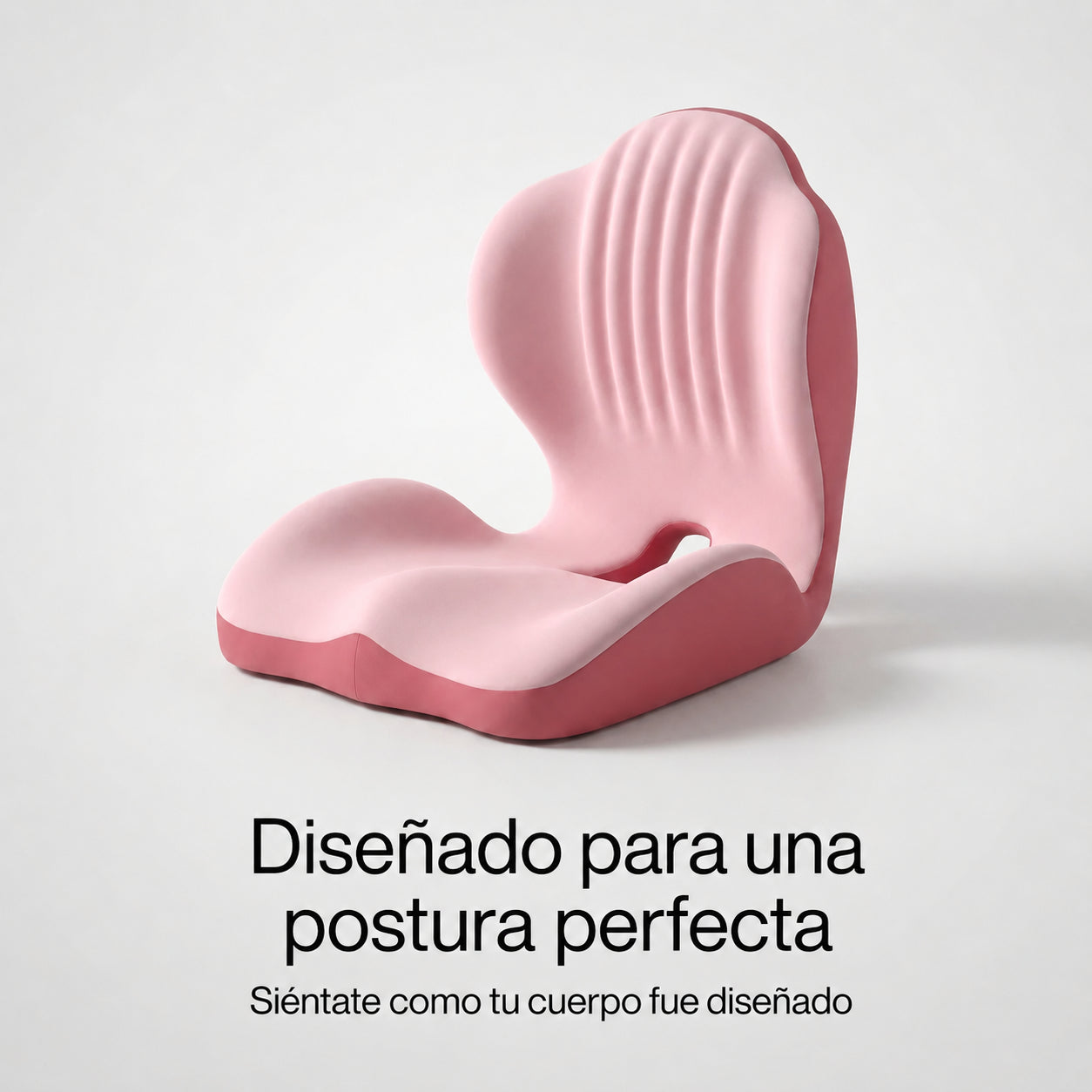 Cojín Ergonómico 2 en 1 Coussea