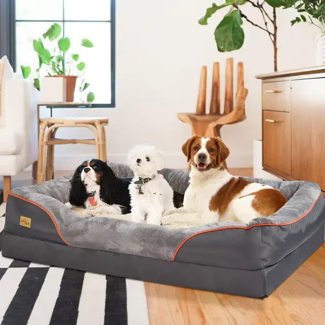 Lit En Mousse Orthopédique Pour Chien | Sérénité Royale - Coussea