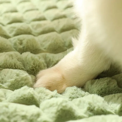 Matelas Orthopédique Pour Chien - Coussea