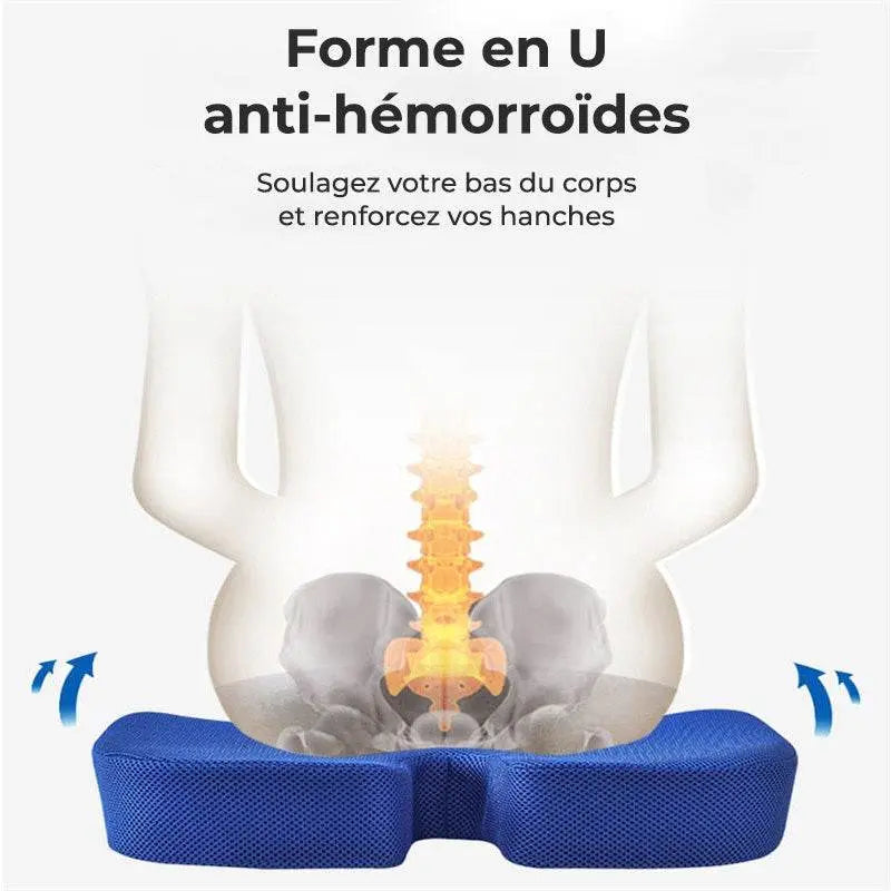 Coussin Orthopédique D'assise - Coussea