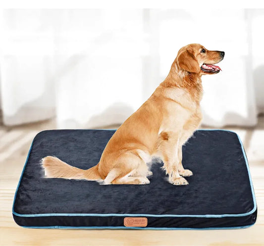 Coussin Rembourré Orthopédique Pour Chien - Coussea