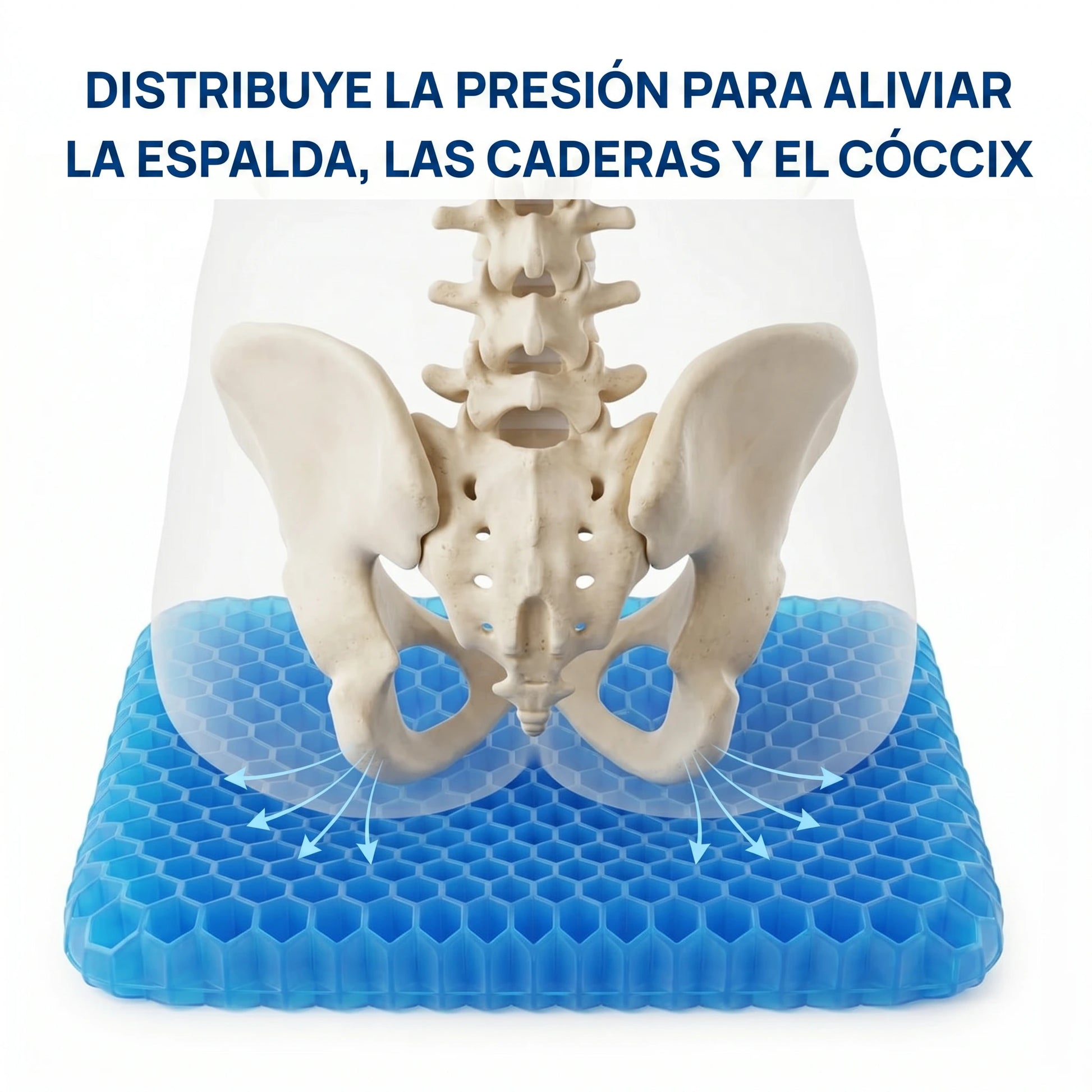 The Zero Cushion™ Coussea
