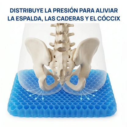 The Zero Cushion™ Coussea