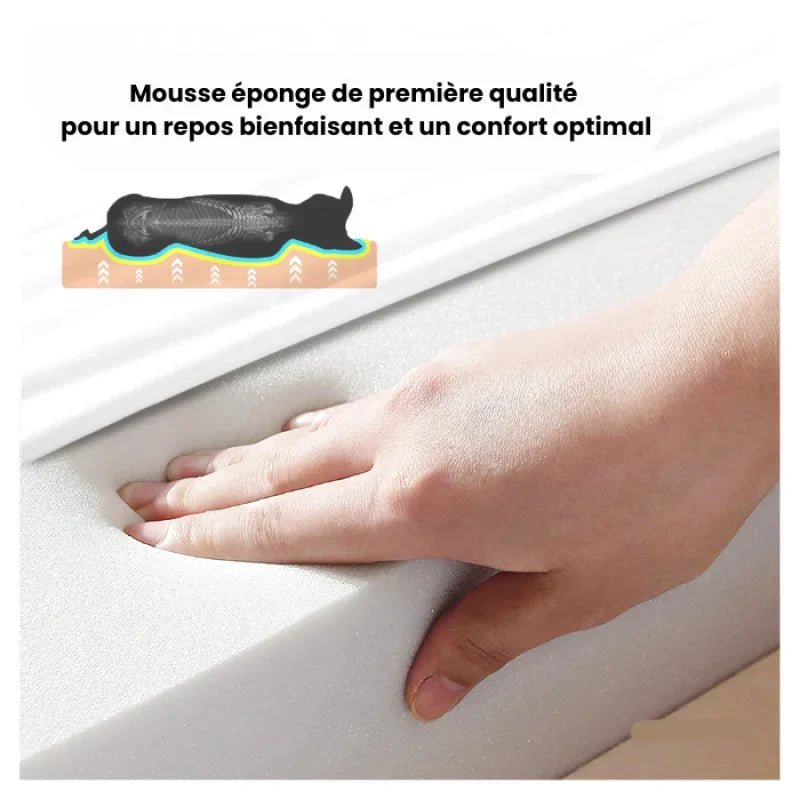 Lit Orthopédique À Mémoire De Forme Pour Chien - Coussea
