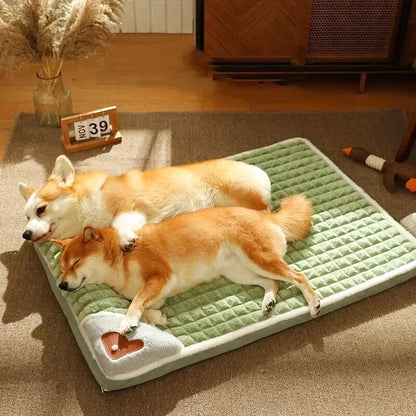Matelas Orthopédique Pour Chien - Coussea