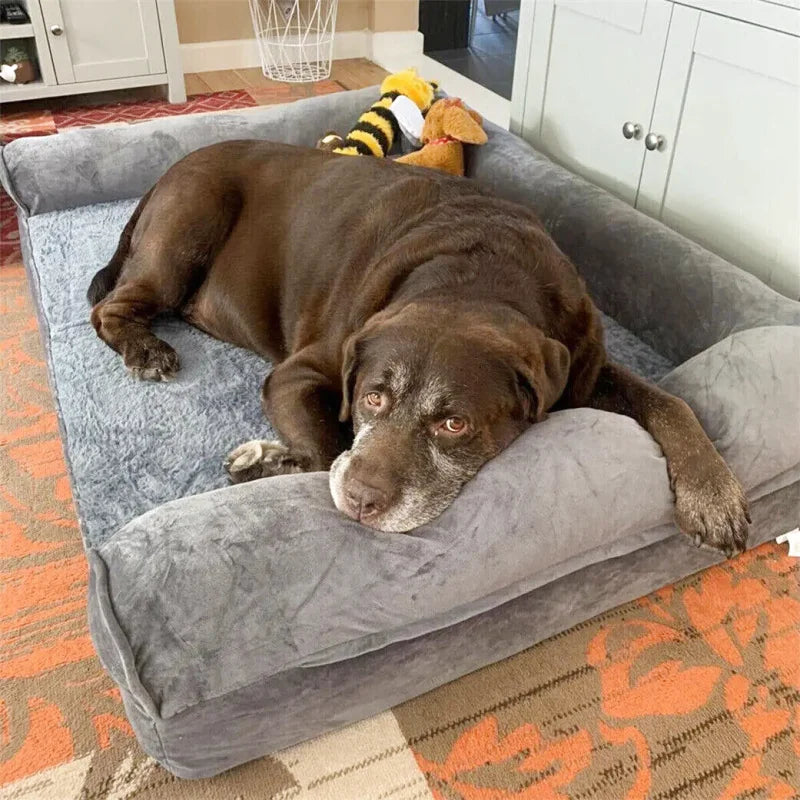 Matelas Orthopédique À Mémoire De Forme Pour Chien - Coussea