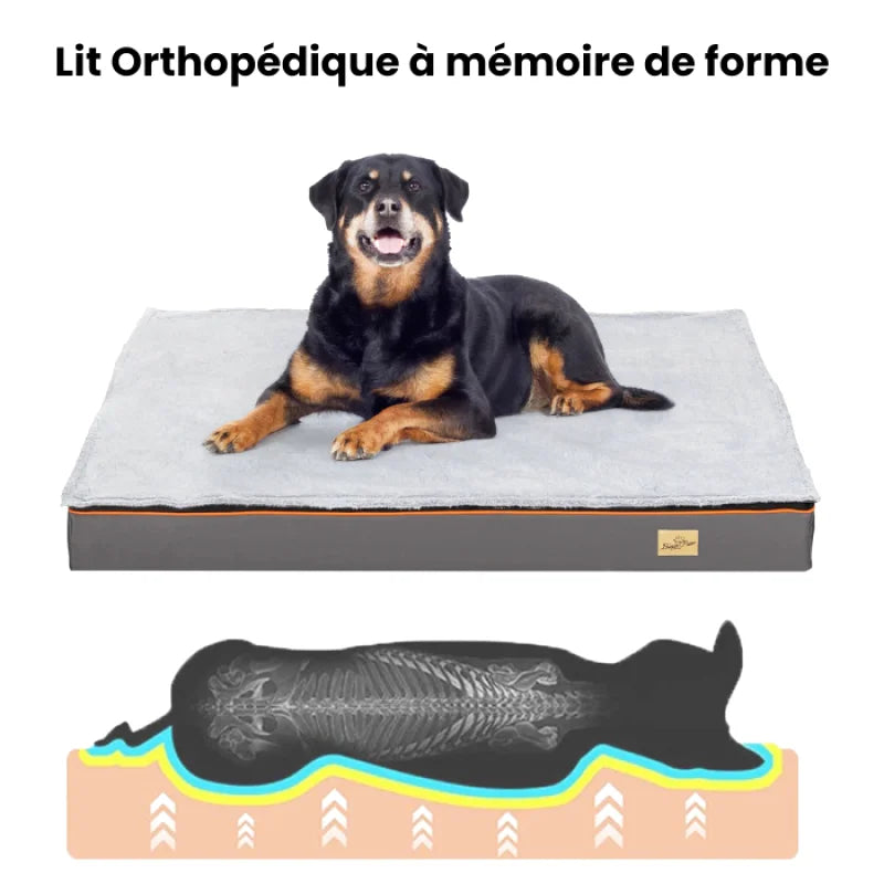 Traversin Orthopédique Pour Chien - Coussea